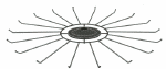 18-hook-tier-ht6-18.gif (7886 bytes)
