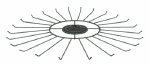 24-hook-tier-ht6-24.gif (8556 bytes)