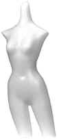 Junior torso form is great for displaying bathing suits on lingerie.  Available in black, white or fleshtone color.