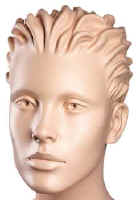Facial Close-up of Female Mannequin System Bust With Head