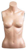 System Mannequin Female Bust Without Head