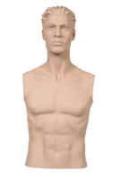 Male System Mannequin Bust With Head