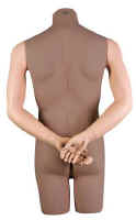 System Mannequin Male 3/4 Torso Arms - Behind Back.  Please note that darkened areas are not included.